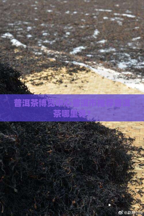 普洱茶博览中心普洱市推荐普洱茶哪里寻？