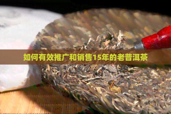 如何有效推广和销售15年的老普洱茶