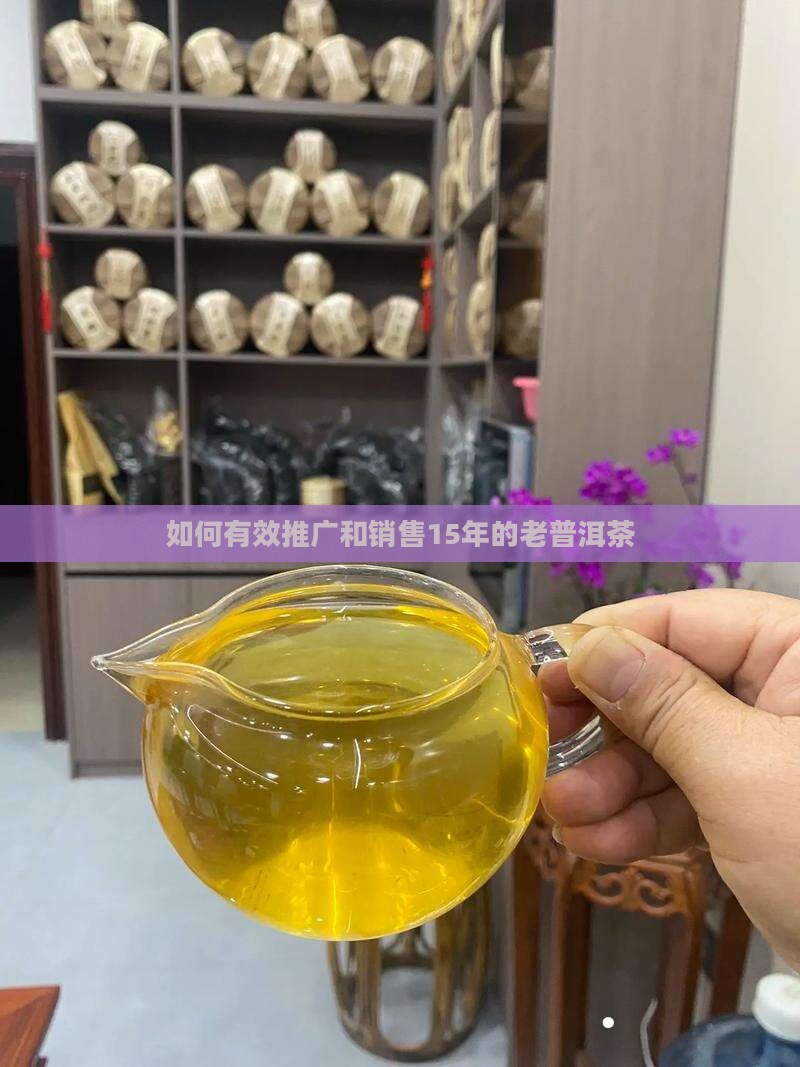 如何有效推广和销售15年的老普洱茶