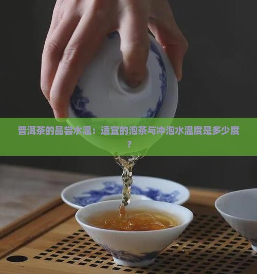 普洱茶的品尝水温:适宜的泡茶与冲泡水温度是多少度? 普洱茶的品尝水温:适宜的泡茶与冲泡水温度是多少度?