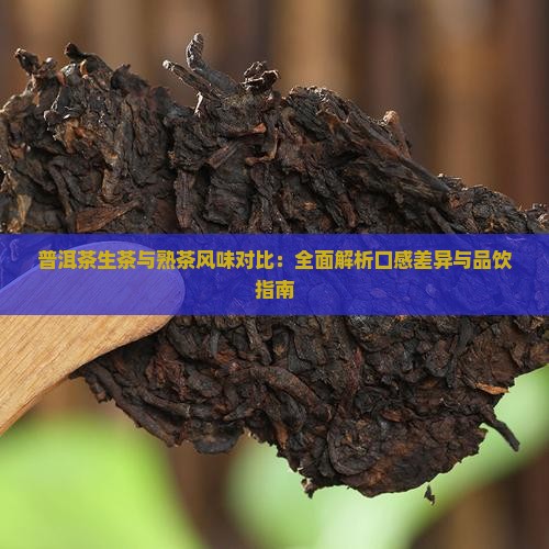 普洱茶生茶与熟茶风味对比：全面解析口感差异与品饮指南