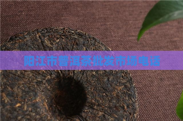 阳江市普洱茶批发市场电话