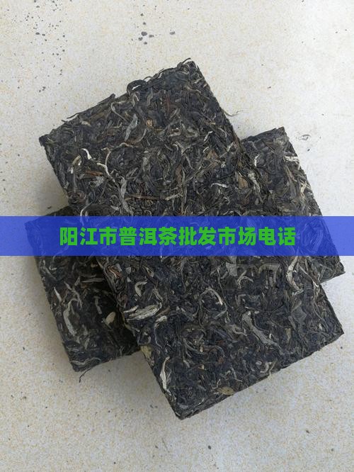 阳江市普洱茶批发市场电话