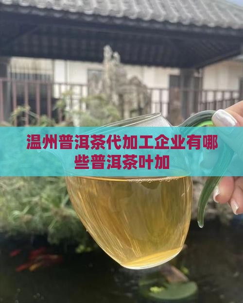 温州普洱茶代加工企业有哪些普洱茶叶加
