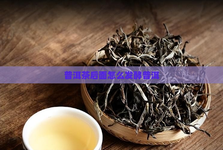 普洱茶后面怎么发酵普洱
