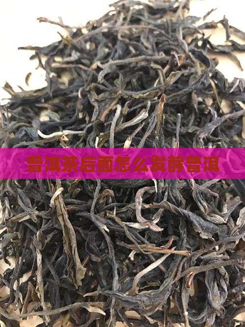 普洱茶后面怎么发酵普洱