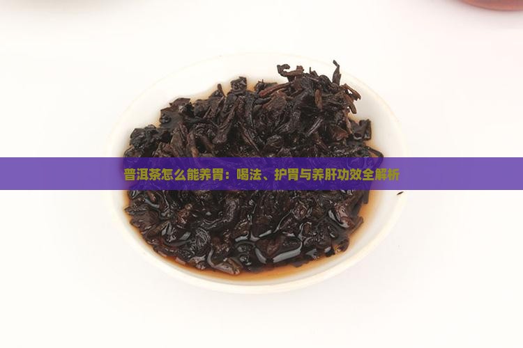普洱茶怎么能养胃：喝法、护胃与养肝功效全解析