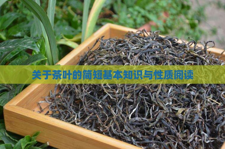 关于茶叶的简短基本知识与性质阅读