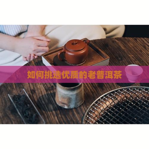 如何挑选优质的老普洱茶