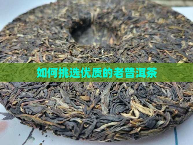 如何挑选优质的老普洱茶