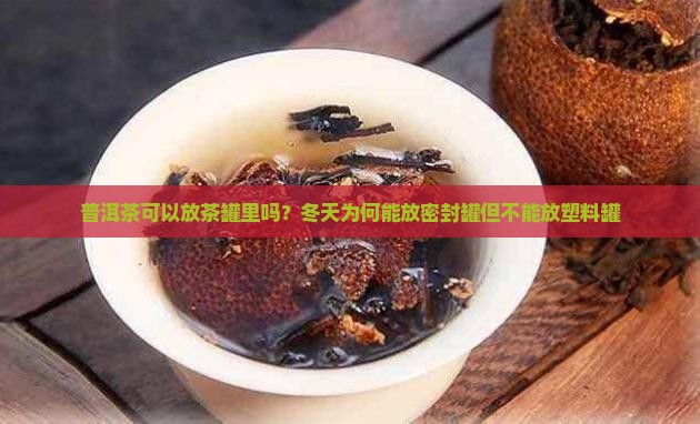 普洱茶可以放茶罐里吗？冬天为何能放密封罐但不能放塑料罐