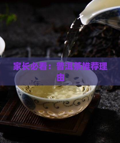 家长必看：普洱茶推荐理由