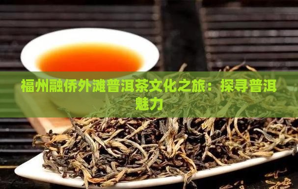 福州融侨外滩普洱茶文化之旅：探寻普洱魅力