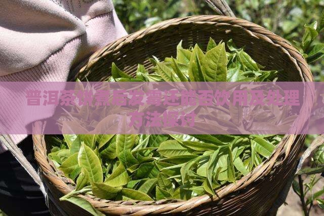 普洱茶饼煮后发霉还能否饮用及处理方法探讨