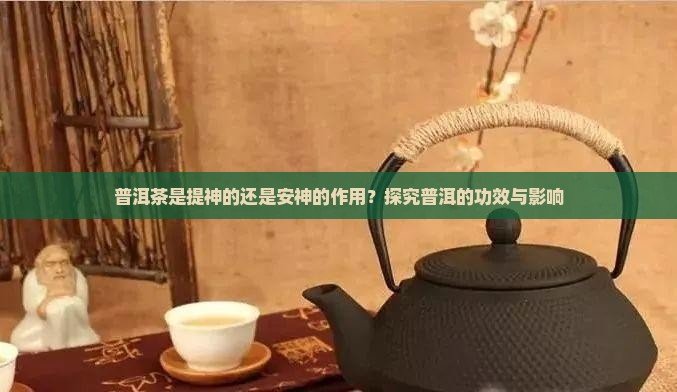 普洱茶是提神的还是安神的作用？探究普洱的功效与影响
