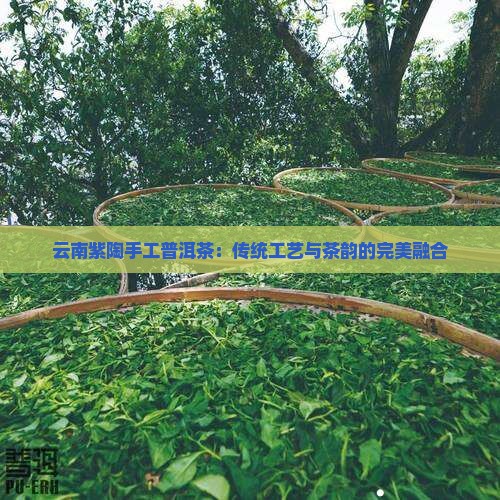云南紫陶手工普洱茶：传统工艺与茶韵的完美融合