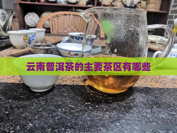 云南普洱茶的主要茶区有哪些