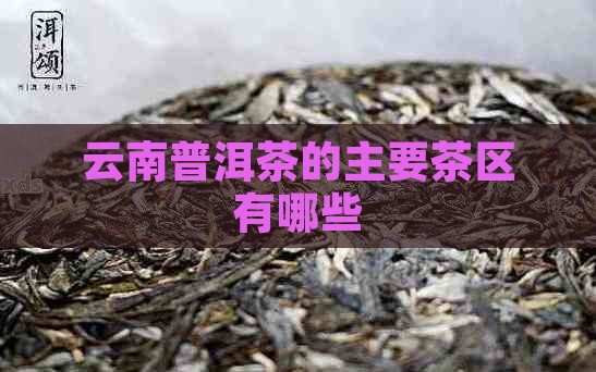 云南普洱茶的主要茶区有哪些