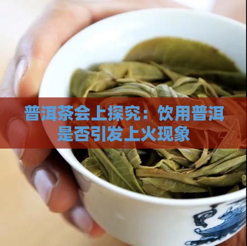 普洱茶会上探究：饮用普洱是否引发上火现象