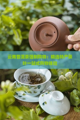 云南普洱茶强制购物：精选特产茶叶一站式购物体验