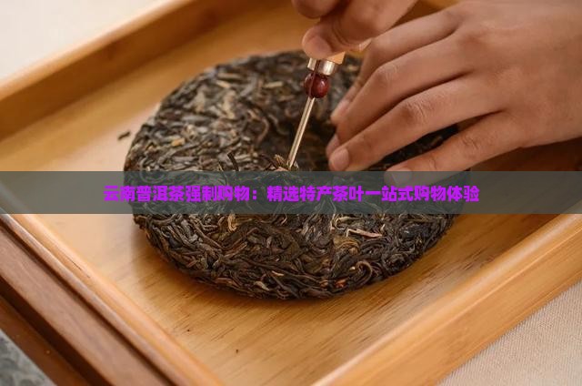 云南普洱茶强制购物：精选特产茶叶一站式购物体验