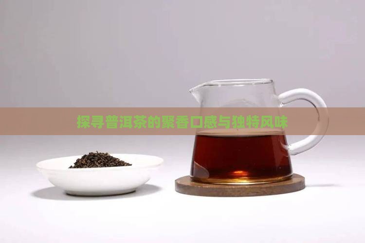 探寻普洱茶的聚香口感与独特风味