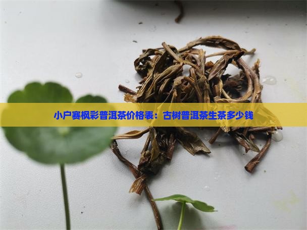 小户赛枫彩普洱茶价格表：古树普洱茶生茶多少钱