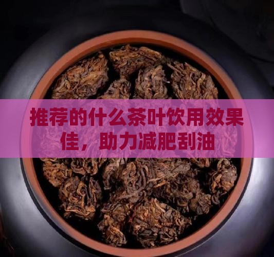 推荐的什么茶叶饮用效果佳，助力减肥刮油