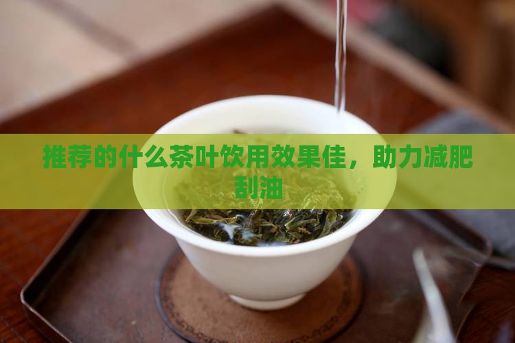 推荐的什么茶叶饮用效果佳，助力减肥刮油