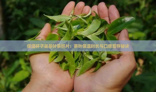 保温杯子装茶叶茶照片：茶叶保温时长与口感留存秘诀