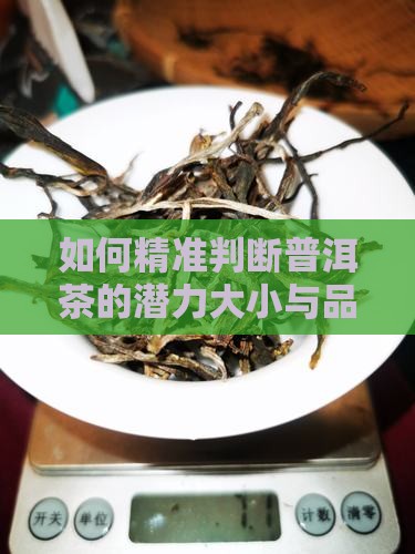如何精准判断普洱茶的潜力大小与品质高低