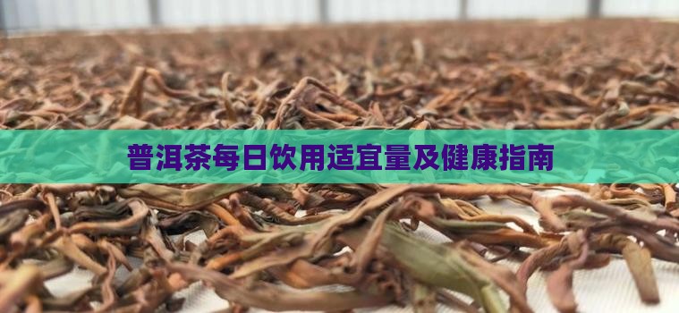普洱茶每日饮用适宜量及健康指南