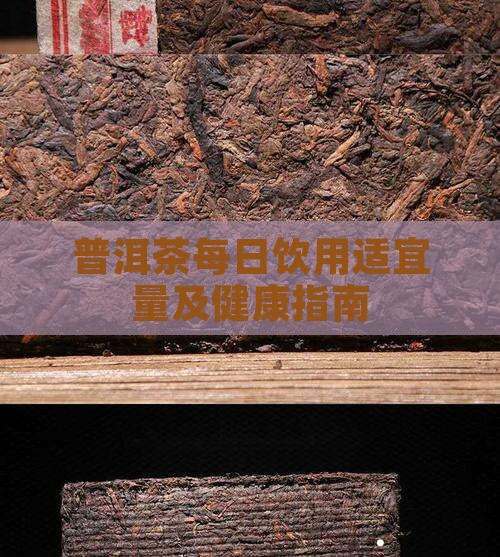 普洱茶每日饮用适宜量及健康指南