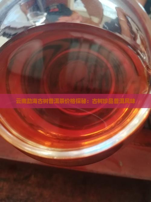 云南勐海古树普洱茶价格探秘：古树珍品普洱风味