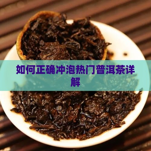 如何正确冲泡热门普洱茶详解
