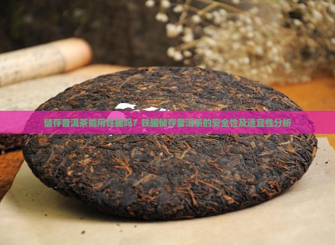储存普洱茶能用铁罐吗？铁罐储存普洱茶的安全性及适宜性分析