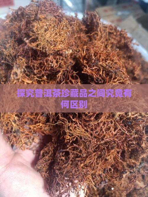 探究普洱茶珍藏品之间究竟有何区别