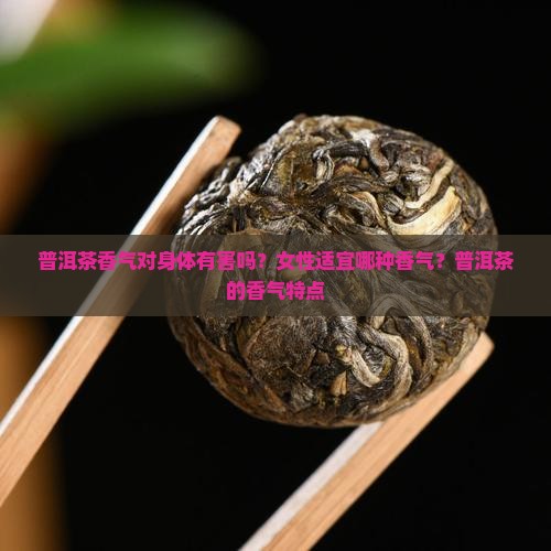 普洱茶香气对身体有害吗？女性适宜哪种香气？普洱茶的香气特点