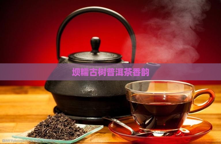 坝糯古树普洱茶香韵