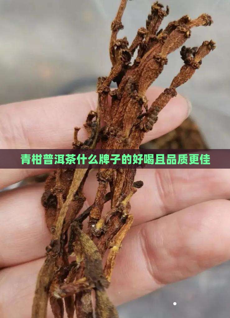 青柑普洱茶什么牌子的好喝且品质更佳