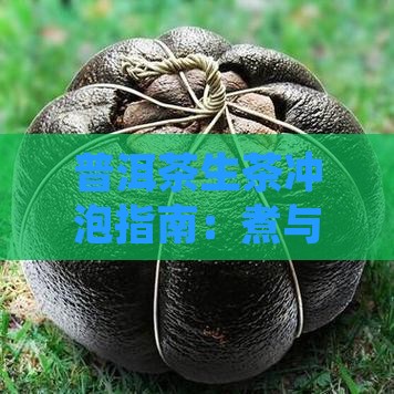 普洱茶生茶冲泡指南：煮与泡的区别与方法