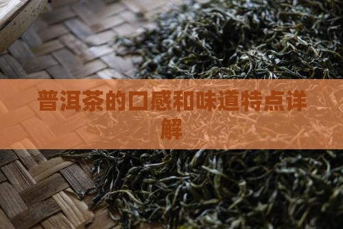普洱茶的口感和味道特点详解