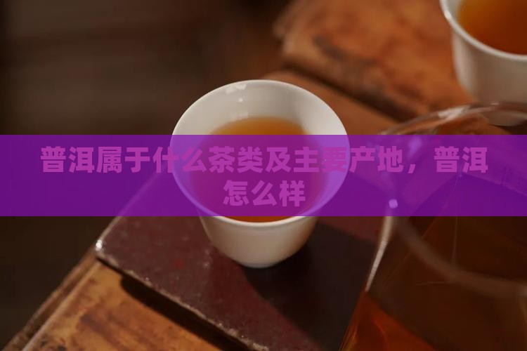 普洱属于什么茶类及主要产地，普洱怎么样