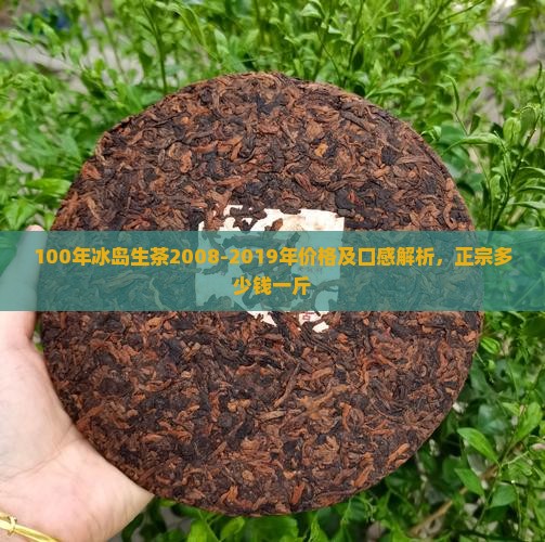 100年冰岛生茶2008-2019年价格及口感解析，正宗多少钱一斤
