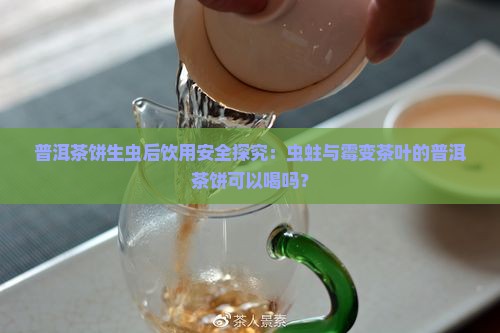 普洱茶饼生虫后饮用安全探究：虫蛀与霉变茶叶的普洱茶饼可以喝吗？