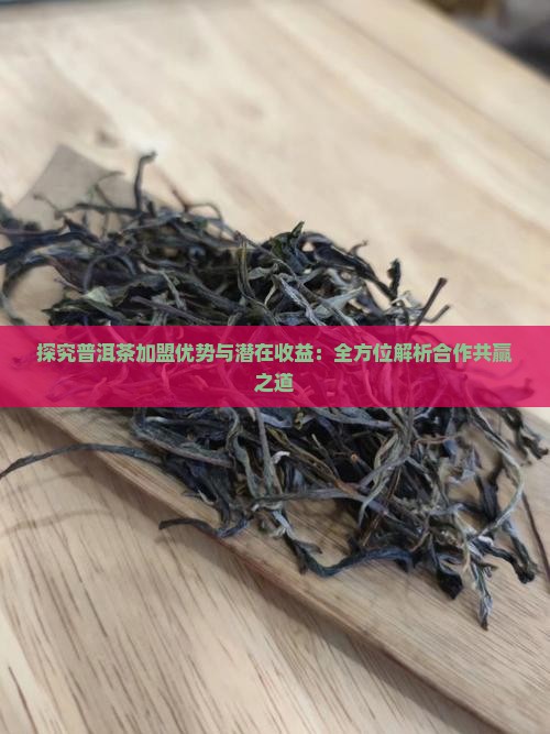 探究普洱茶加盟优势与潜在收益：全方位解析合作共赢之道