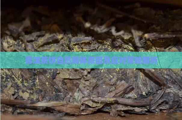 普洱茶饼自然解体原因及应对策略解析