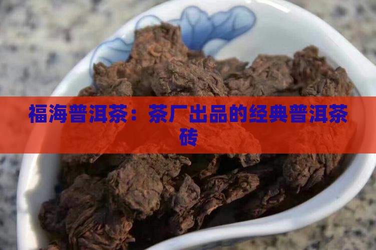 福海普洱茶：茶厂出品的经典普洱茶砖