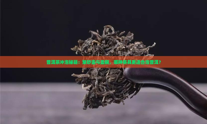 普洱茶冲泡秘籍：紫砂壶与盖碗，哪种茶具更适合泡普洱？