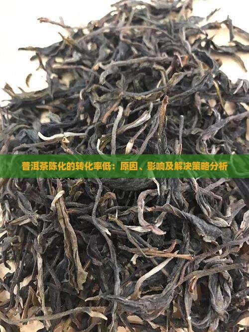 普洱茶陈化的转化率低：原因、影响及解决策略分析
